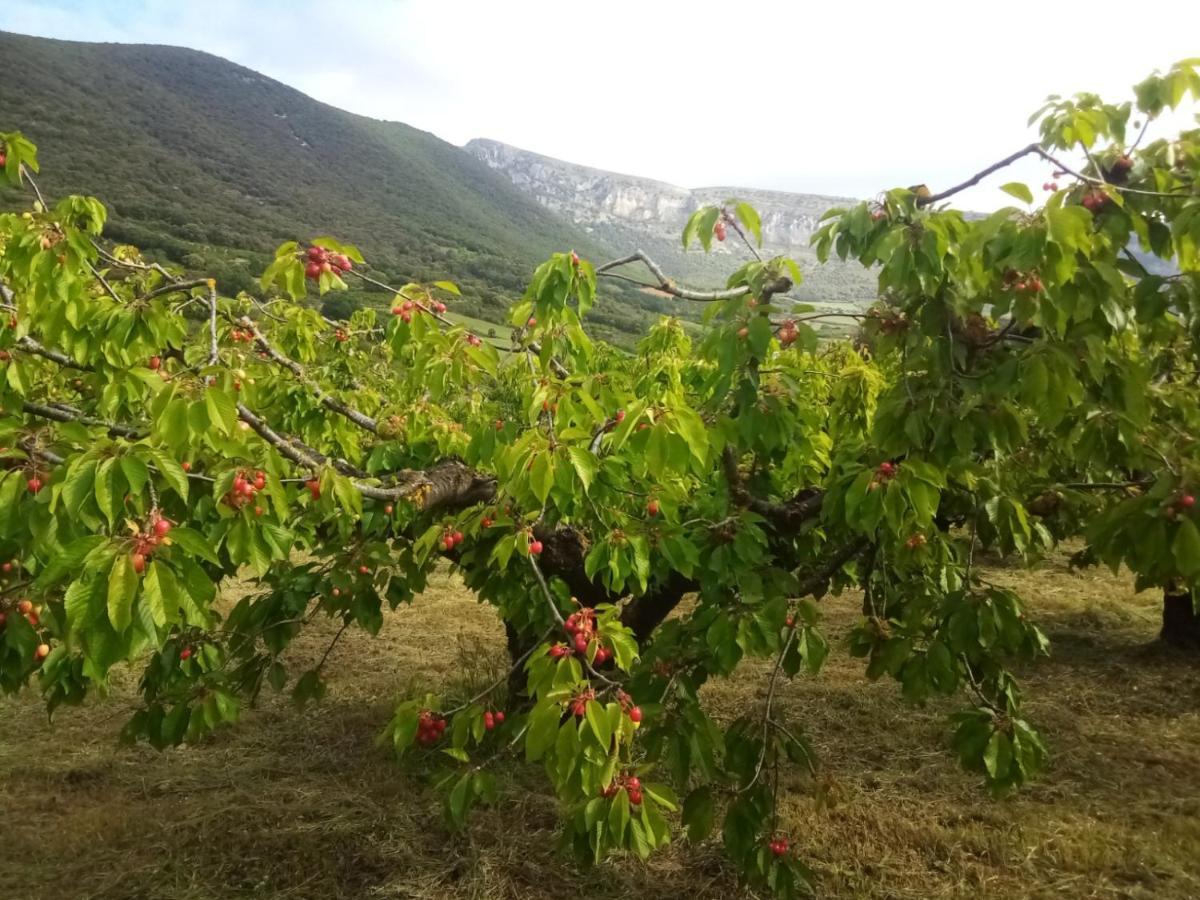 Апартаменты Casa Rural Ibarbegi II Vidaurreta Экстерьер фото